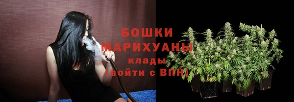 spice Белокуриха