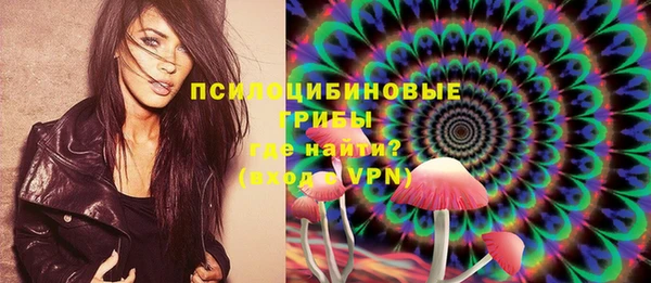 spice Белокуриха