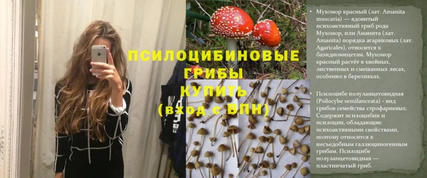spice Белокуриха
