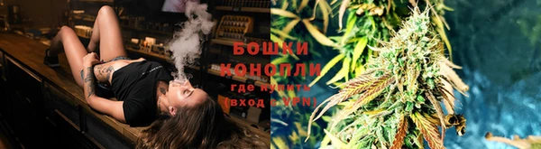 spice Белокуриха