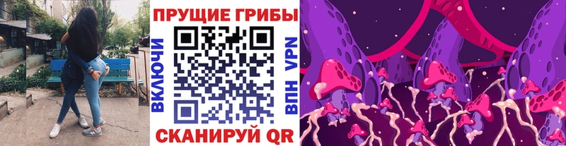 Псилоцибиновые грибы Psilocybe купить наркотики цена Кондрово