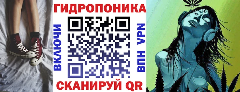 Шишки марихуана семена  Кондрово 